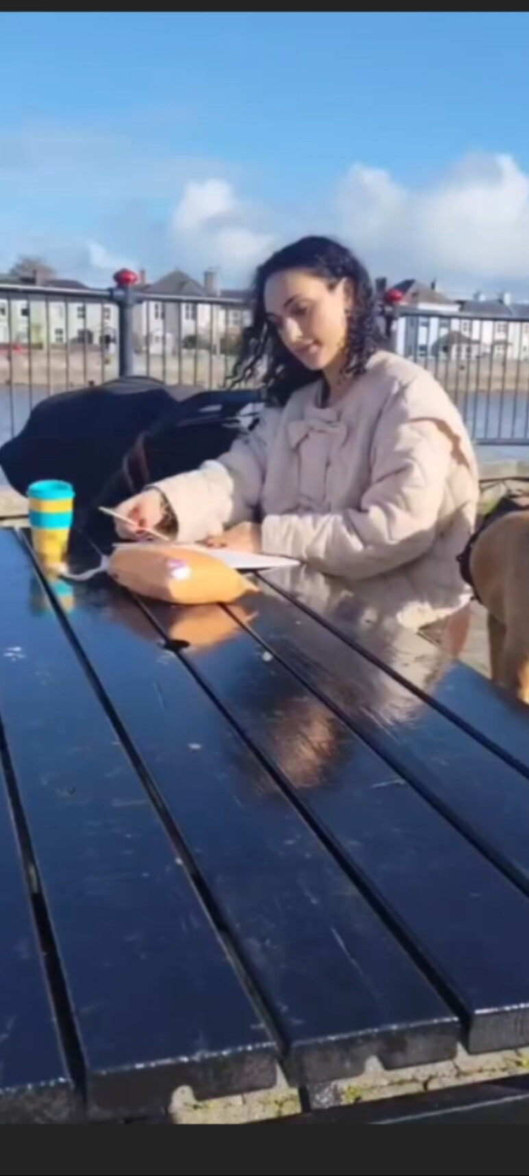 Person sitting at a table with drinks and a dog on a sunny day